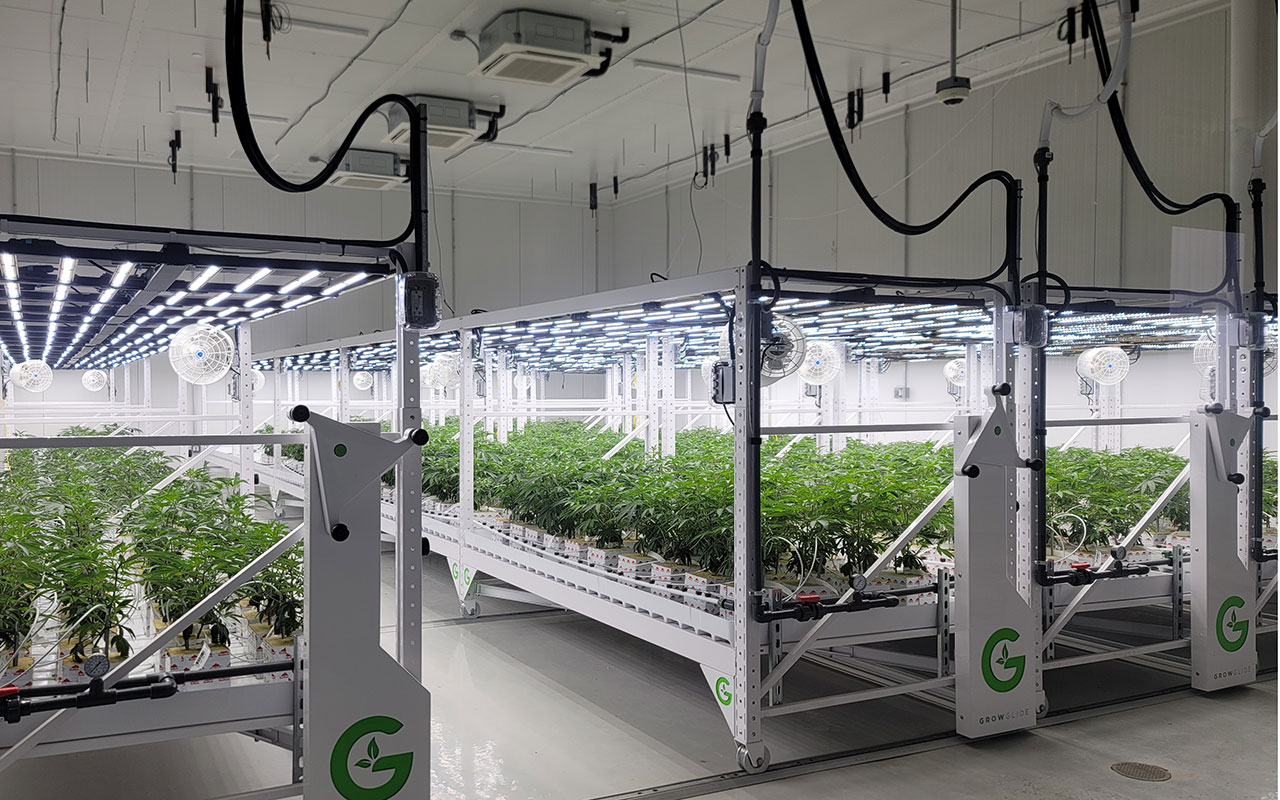 Single Tier Cannabis Grow Room